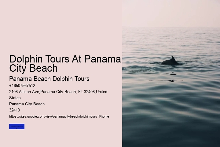 Dolphin Tours At Panama City Beach
