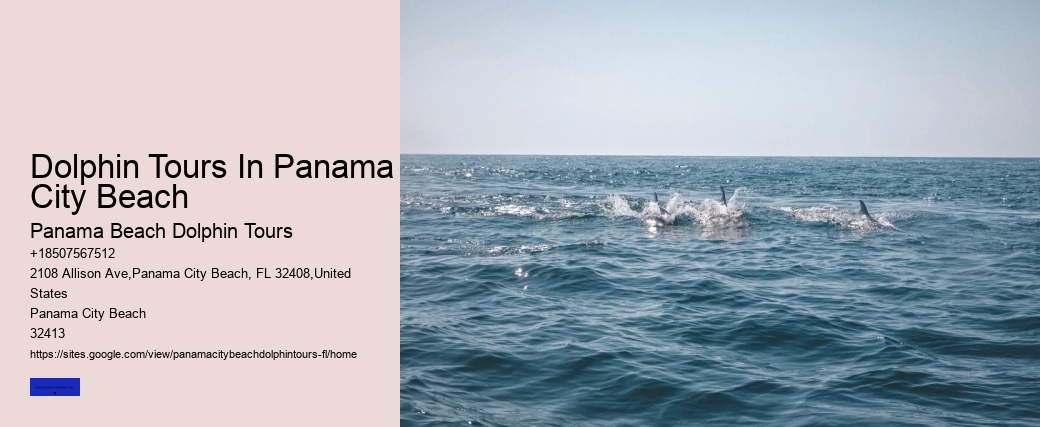 Panama City Beach Boat Tours