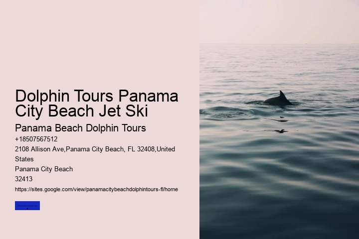 Dolphin Sightings