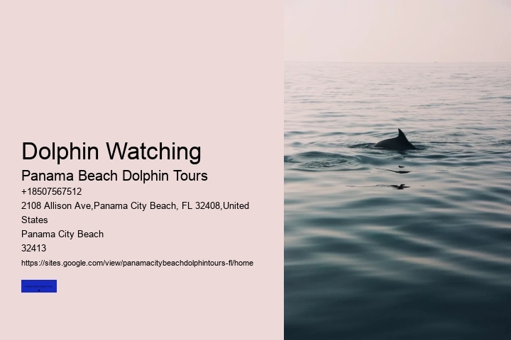 Dolphin-watching