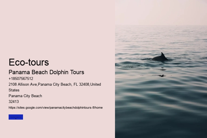 Dolphin Sightseeing Tour Panama City Beach