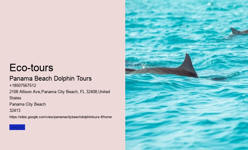 Jet Ski Dolphin Tours Panama City Beach