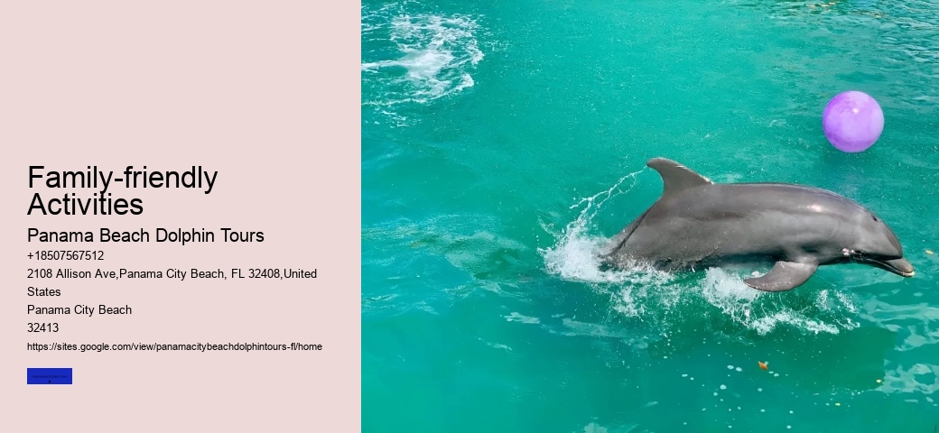 Diving With Dolphins