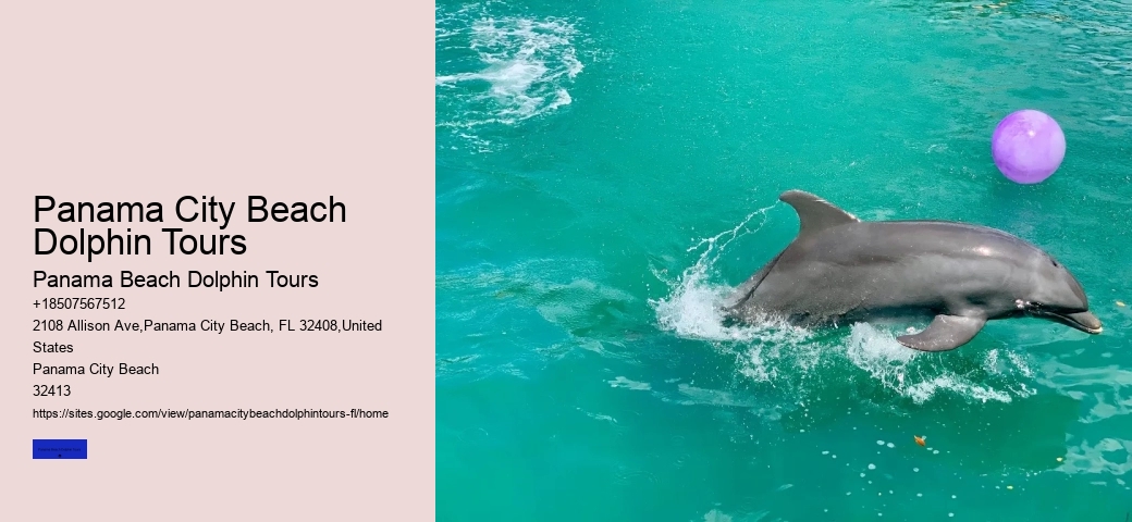 How Ethical Are Dolphin Shows