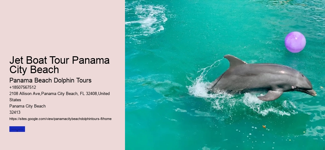 Dolphin Tours Panama City Beach Jet Ski