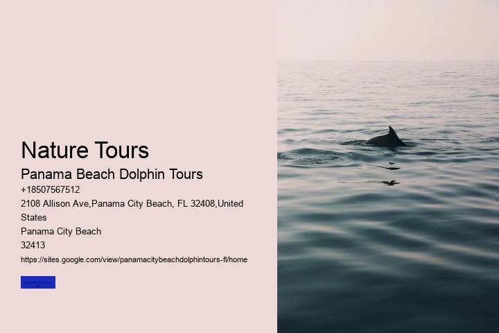 Private Boat Tours Panama City Beach