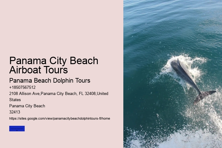 About Shell Island & Dolphins