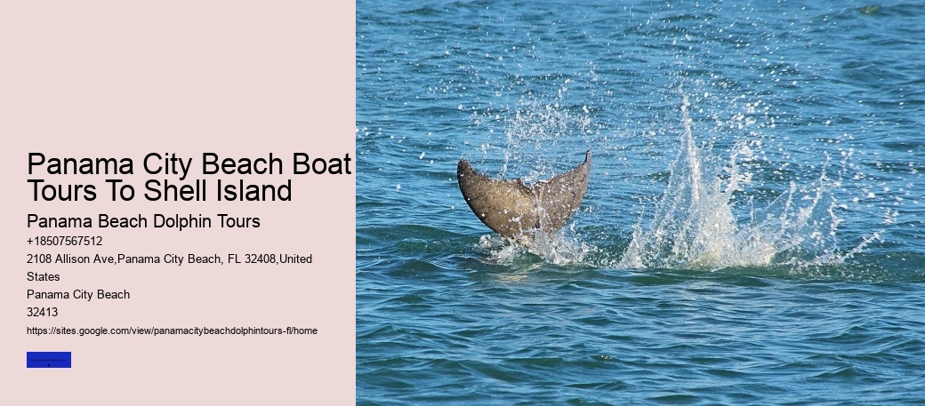 Panama City Beach Boat Tours To Shell Island