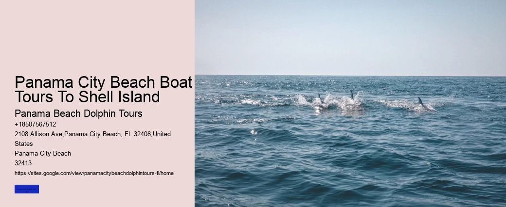 Dive Boats