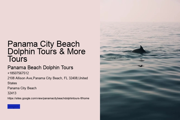 Panama City Beach Dolphin Tours & More Tours