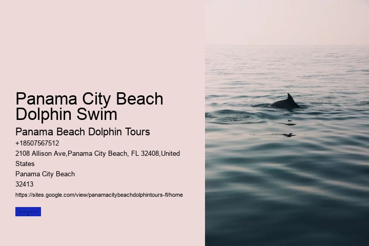 Panama City Beach Dolphin Swim