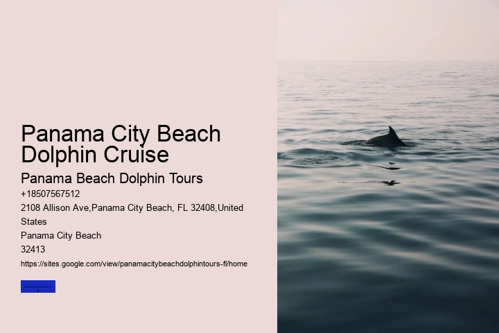 Shell Island Boat Tours Panama City Beach FL