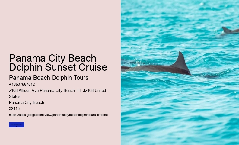Discover Shell Island