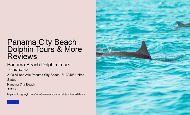 When Can You See Dolphins In Panama City Beach