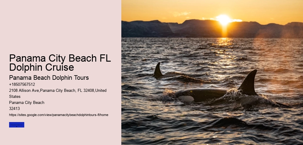 Panama City Beach FL Dolphin Cruise