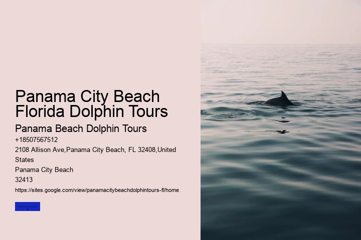 Panama City Beach Airboat Tours