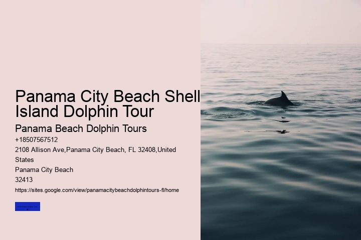 Affordable Dolphin