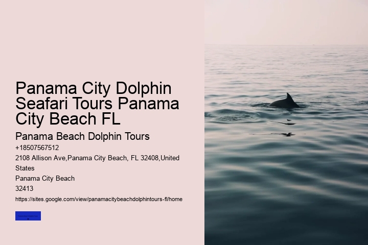 What Time Of Day Are Dolphins Out The Most