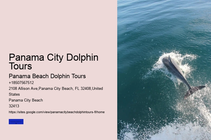 Dolphin Sightseeing