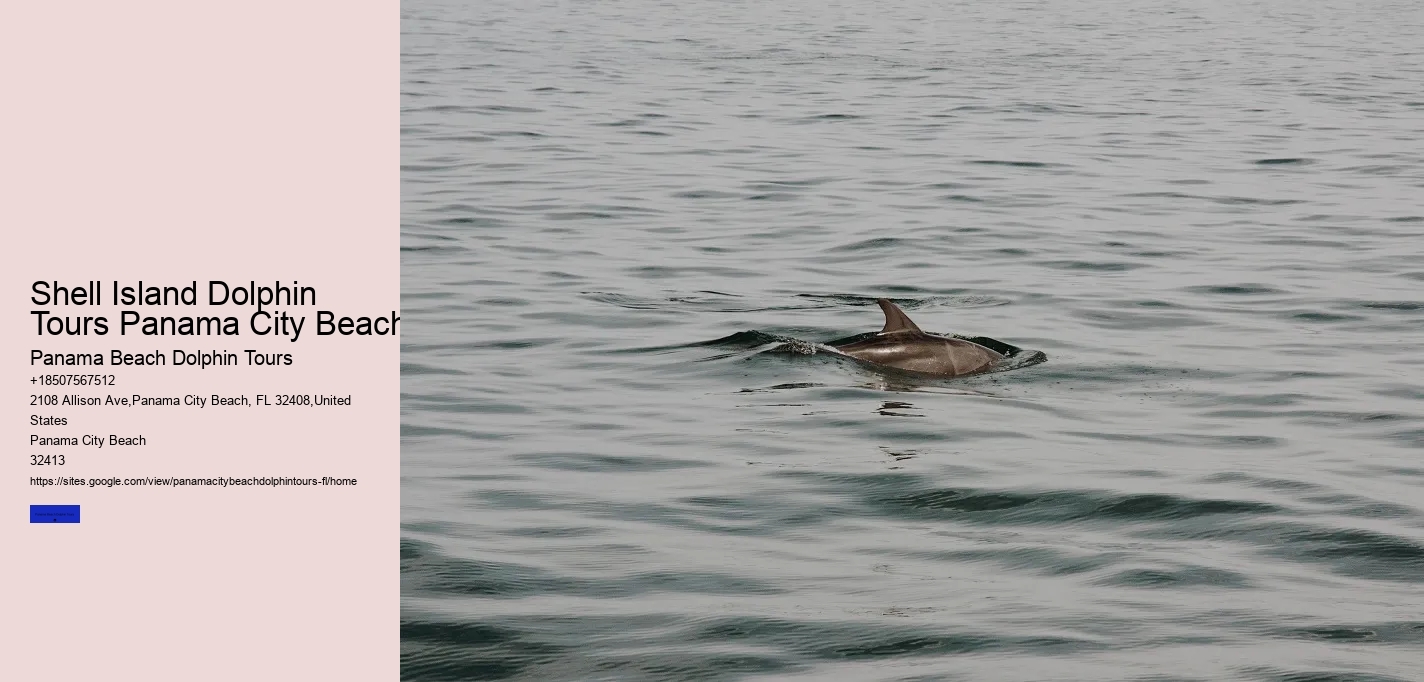 Shell Island Dolphin Tours Panama City Beach