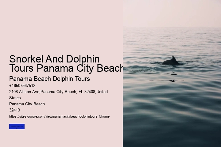 Daytime Dolphin Cruise Panama City Beach