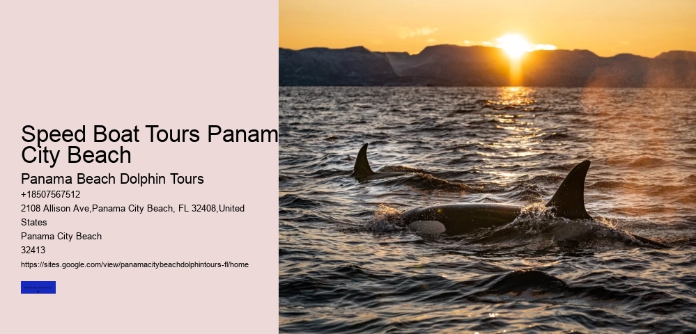 Speed Boat Tours Panama City Beach