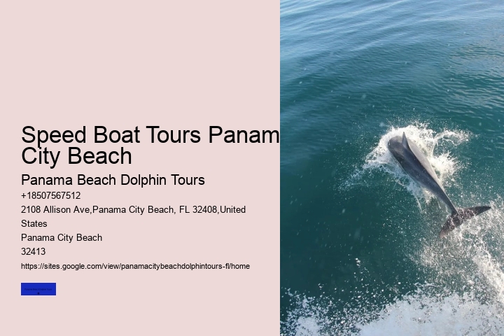 Dolphin Tours Panama City Beach