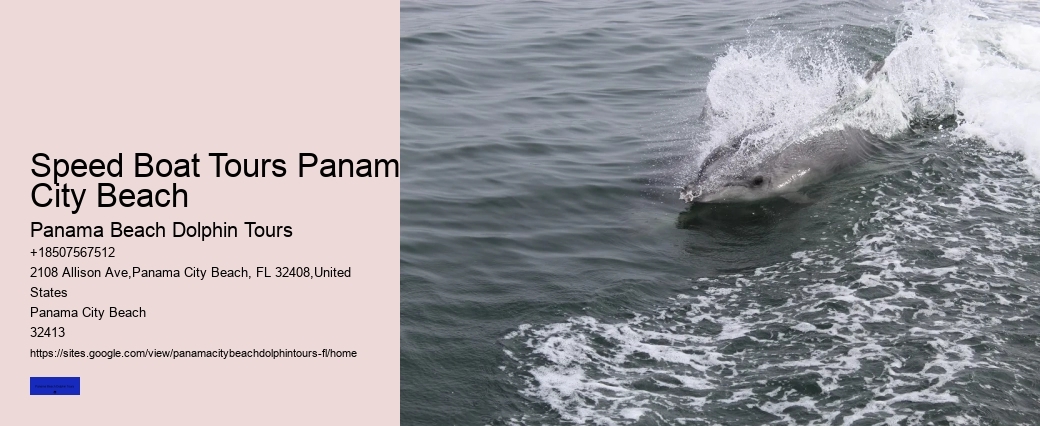 Dolphin Boat Tours Panama City Beach