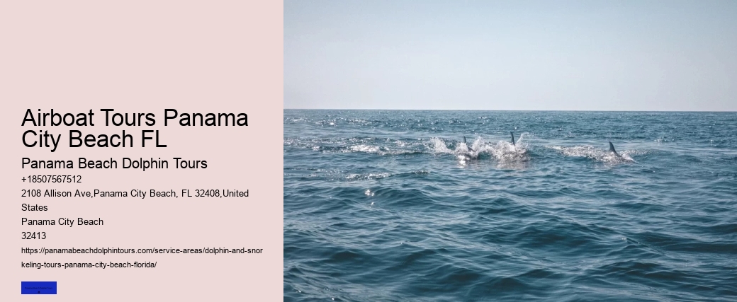 Can You Swim With Dolphins In Panama City