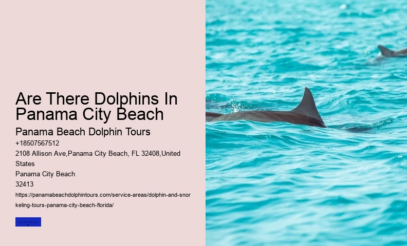 Are Dolphins Rare To See