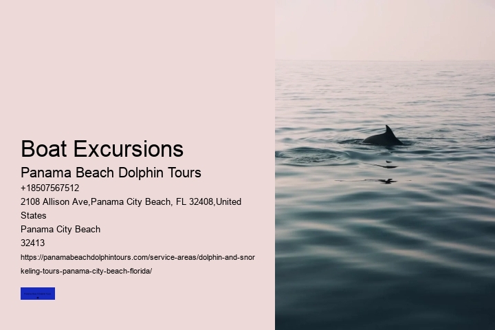 How Do You Spot Dolphins From Shore