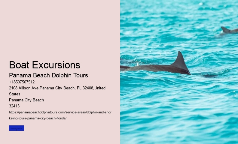 The Best Places In The World To See Wild Dolphins