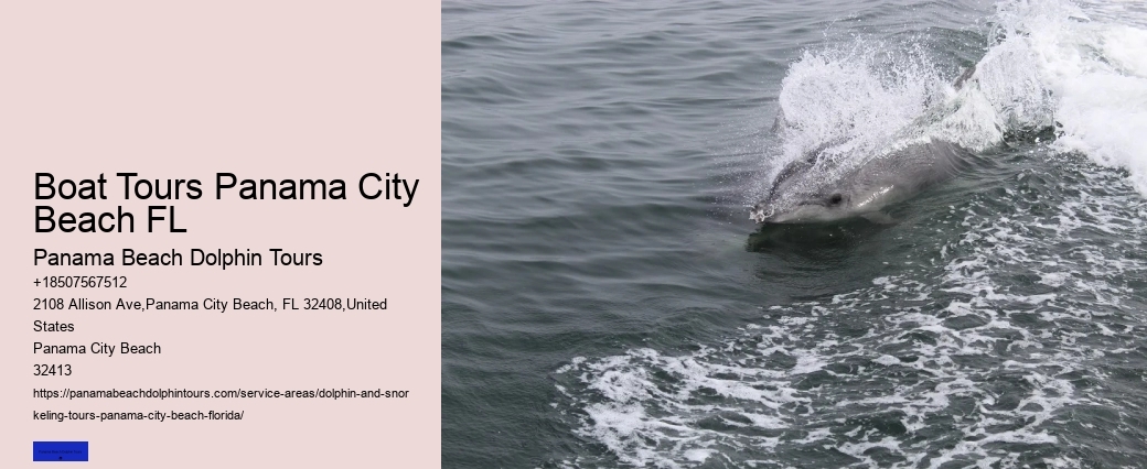 Dolphin Sightings