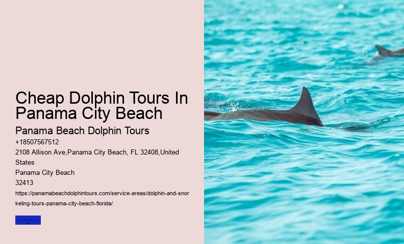 Where Is The Best Place To Swim With Wild Dolphins