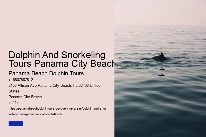 Dolphin Panama City Beach