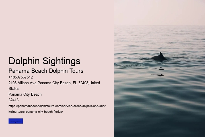 Dolphin Tours In Panama City Beach Florida