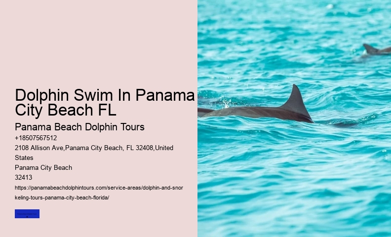 Can You Swim With Dolphins In Panama City Beach