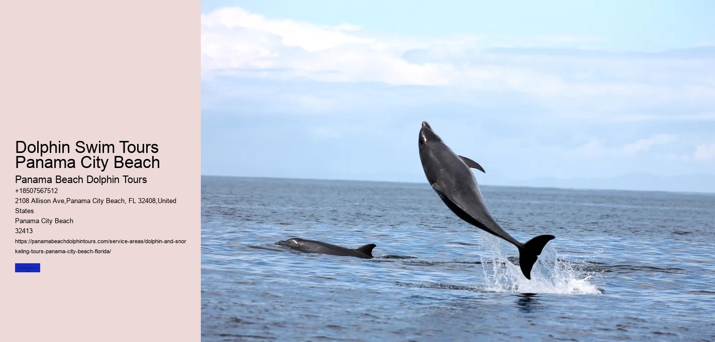 Swimming With Dolphins Is Not Safe For Your Family Nor The Dolphins