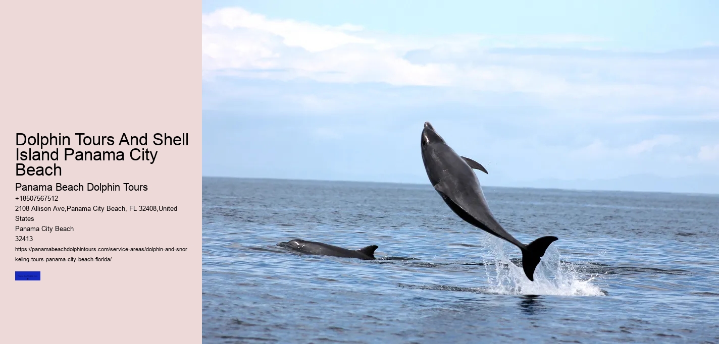 Panama City Dolphin Seafari Tours Panama City Beach FL