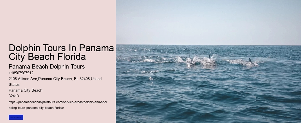 Panama City Beach Dolphin Swim
