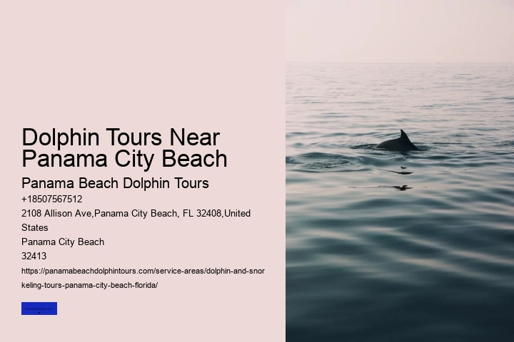 Dolphin Discovery Panama City Beach