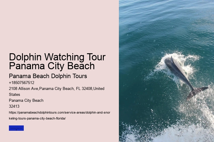 Panama City Dolphin Seafari Tours Panama City Beach FL