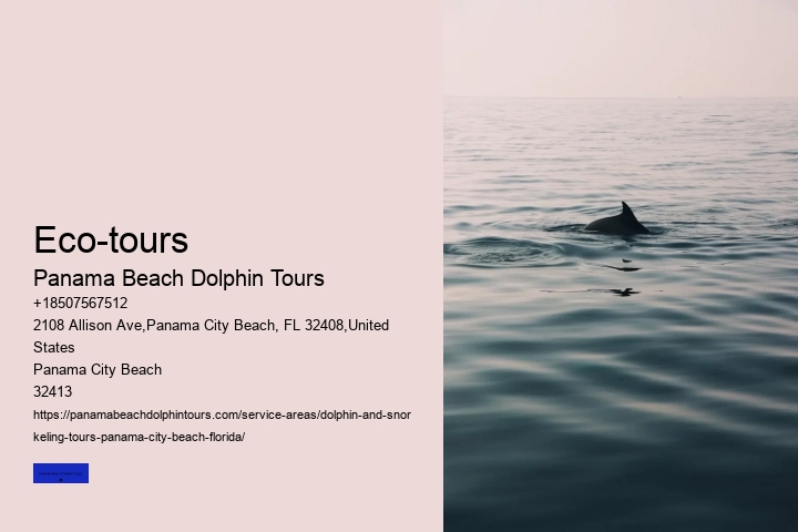 Panama City Dolphin Seafari