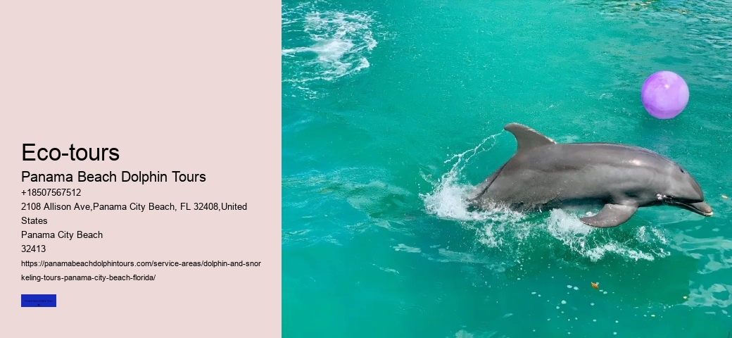 Jet Ski Dolphin Tours