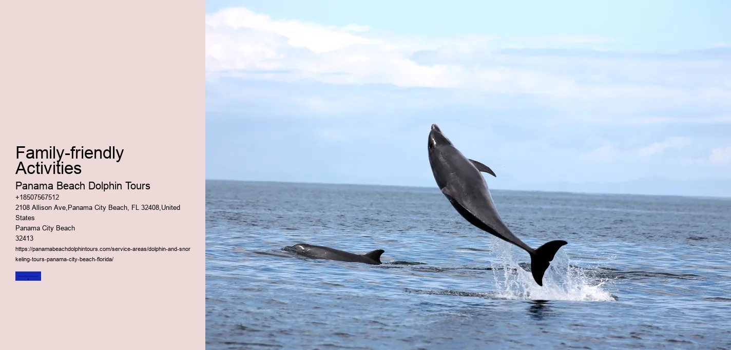 What Is The Dark Truth About Dolphins