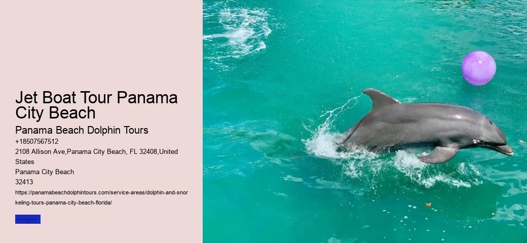Dolphins Do Not Have A Sense Of Smell