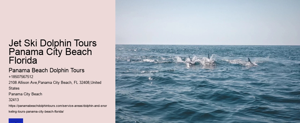 Dolphins Do Not Swim With People