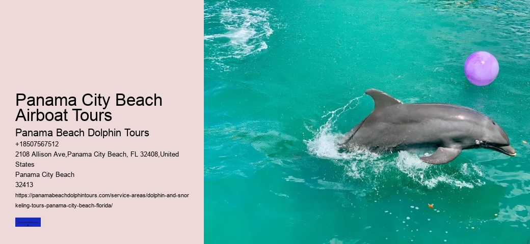 Dolphin Swim Ocean Secrets