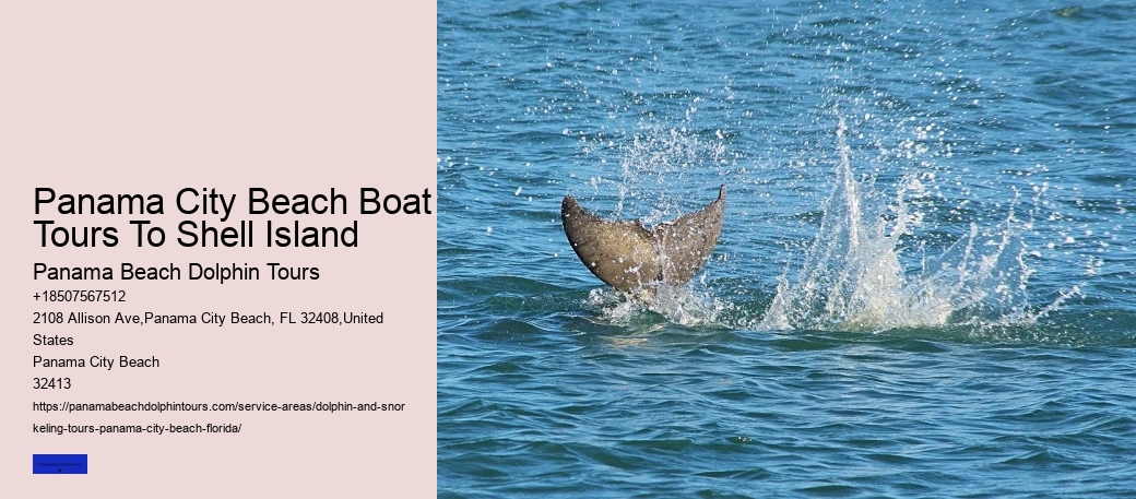 Best Dolphin Tours In Panama City Beach