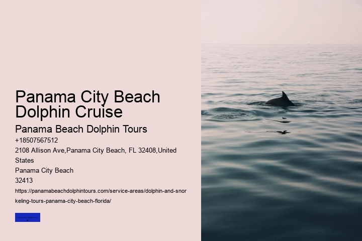 Swimming With Dolphins
